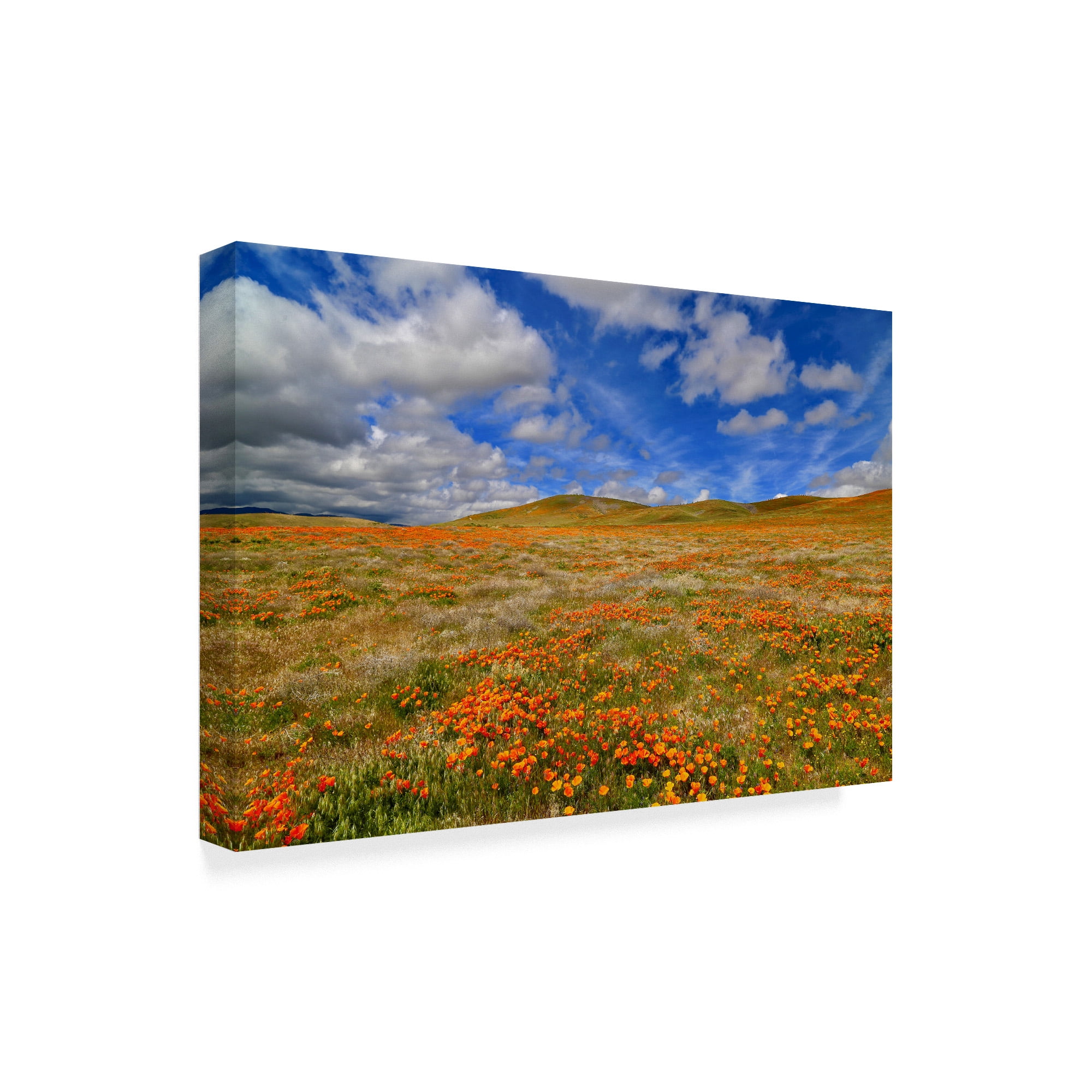 Trademark Fine Art 'Poppies With Clouds' Canvas Art by American School