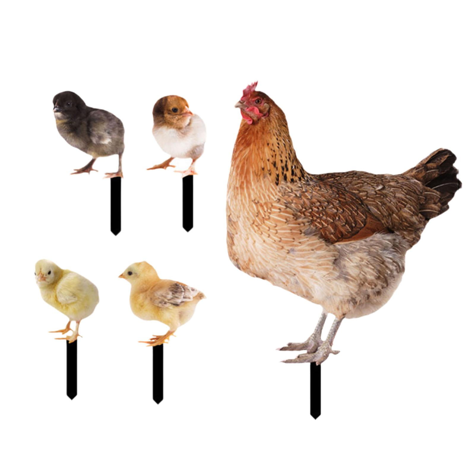 simhoa 5Pcs Hen Statue Garden Stakes Chicken Figurines Ground Insert Yard Sign Yard Art Animal Sculptures for Lawn Patio Floor Decor