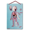 thumbnail image 4 of Janod Body Magnet, 4 of 4