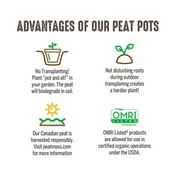 Jiffy Organic Seed Starting Biodegradable Peat Pots - Breathable - 100 Pack, 5 in Diameter