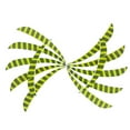 thumbnail image 4 of 12 Pieces 3 Inch Turkey Feathers Fletchings , Fluorescent Yellow, 8x1cm, 4 of 10