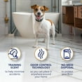 thumbnail image 4 of Scott Pet Guard Advanced Dog Pads - Dog Training Pee Pads for Puppies, Medium & Large Dogs - Large - 22" x 22" - 100 Pack, 4 of 4