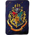 thumbnail image 1 of Northwest Harry Potter Micro Raschel - Manta de 46 x 60 Pulgadas, diseño de Rayas, 1 of 7