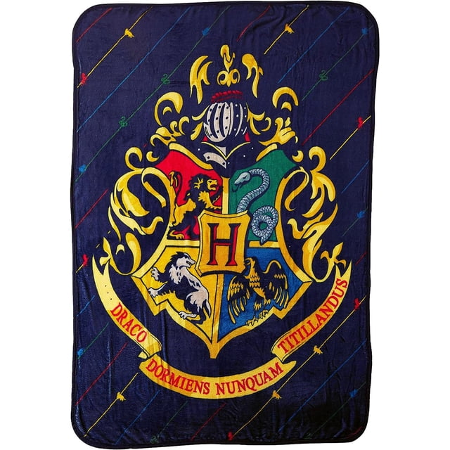 Northwest Harry Potter Micro Raschel - Manta de 46 x 60 Pulgadas, diseño de Rayas