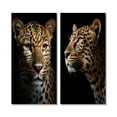 thumbnail image 2 of Designart "Wildlife Portrait Stunning Leopard II" Animals Leopard Wall Art Set Of 2 - Children's Art Brown Wall Decor Set Of 2, 2 of 6