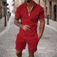 thumbnail image 2 of Conjuntos de Tops Para Hombre Conjuntos de Camisas Casuales Conjunto de Manga Corta Deportiva Con Cremallera de Cobertura Sólida Informal Odeerbi  ODB152061, 2 of 5