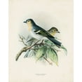thumbnail image 2 of Unknown 20x24 Black Ornate Wood Framed with Double Matting Museum Art Print Titled - Antique Birds II, 2 of 4