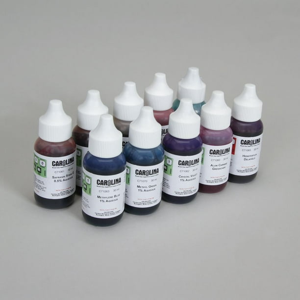Basic Stain Set, 10 Stains, 25Ml Of Each Stain - Walmart.com