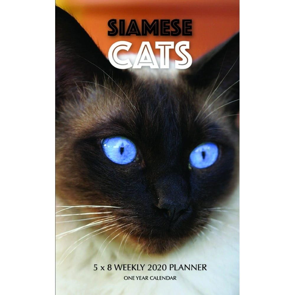Siamese Cats 5 x 8 Weekly 2020 Planner: One Year Calendar - Walmart.com