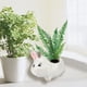thumbnail image 5 of Macetas de bonsái con flores suculentas en forma de animal, decoración para el hogar y la Oficina (Leveret), 5 of 8