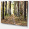 thumbnail image 2 of Chemin en Forêt de Pins d'Automne - Art Moderne sur Toile, 2 of 4