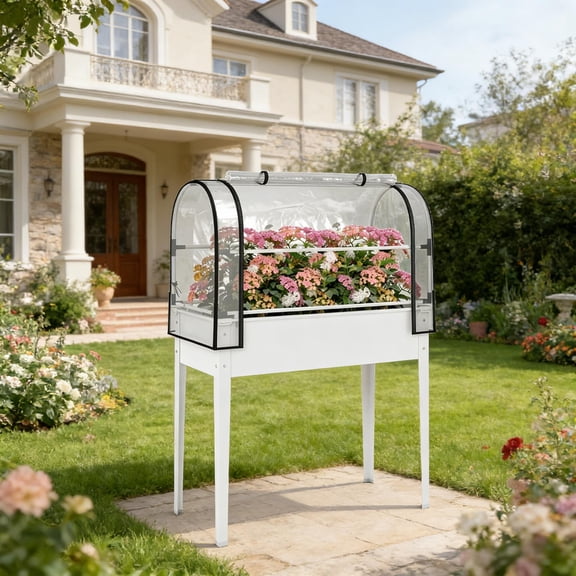 Elevated Plant Boxs Raised Garden Bed