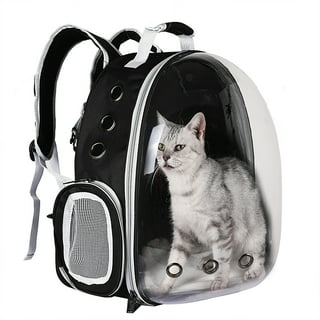 Backpack to store hold cat