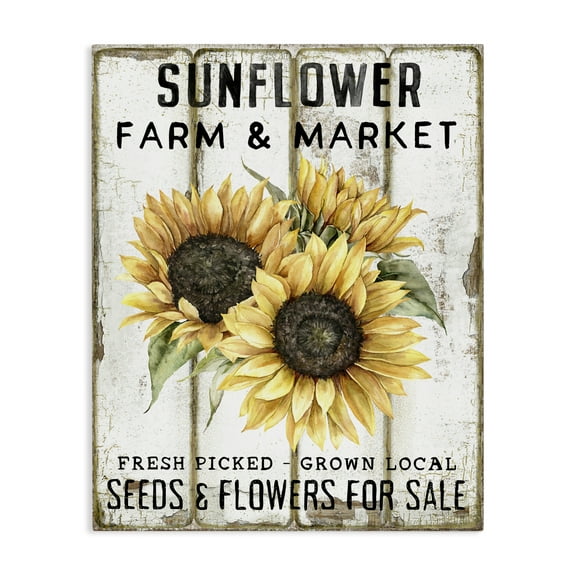 Stupell Industries Sunflower Farm & Market Plants & Flowers Painting Wrapped Canvas Art Print Wall Art, 16 x 20