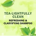 thumbnail image 3 of Herbal Essences Tea-Lightfully Clean Shampoo & Body Wash, 3 of 11