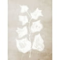 thumbnail image 2 of Urban Road 25x32 Black Ornate Wood Framed with Double Matting Museum Art Print Titled - Paper Bark II, 2 of 4