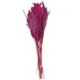 thumbnail image 6 of 35" Dried Plant Natural Foliage Pampas Bouquet with Long Stems, by DecMode, 6 of 7