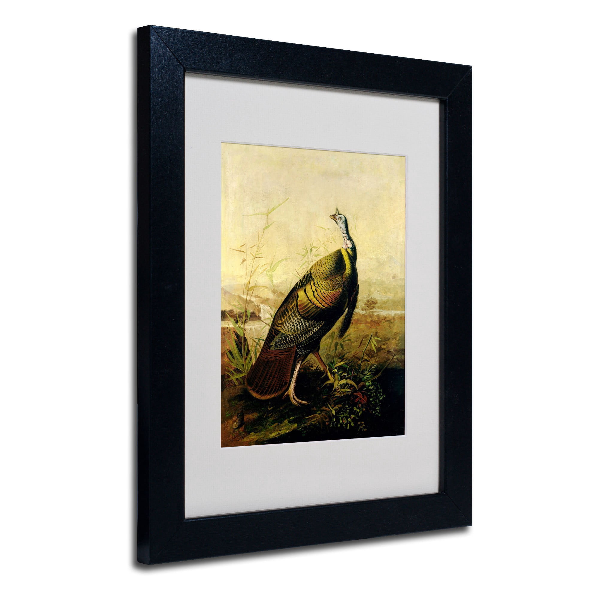 Trademark Fine Art "American Wild Turkey Cock" Canvas Art by John James Audubon, Wood Frame