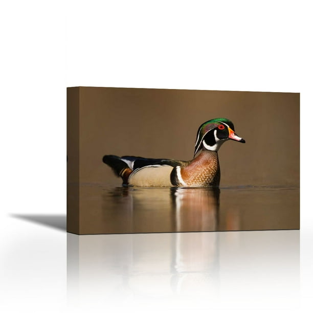 wood duck in plumage lapeer state game area walmart in lapeer