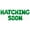 Green, variant on Letter Balloons - HATCHING SOON 16" Inch Alphabet Letters Foil Mylar Balloon Baby Shower Party Banner (Gold)
