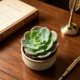 thumbnail image 7 of KGJQ Mini Artificial Succulents Realistic Fake Small Cactus Plants Colorful Faux Flocked Unpotted Plants for Garden Flower Pot Kitchen Home Decor, 7 of 7
