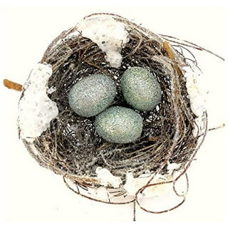 Faux Moss Nest with Eggs Clip-On Ornament - 2 Styles Creative Co