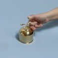 thumbnail image 4 of Kikkerland Vaporisateur de Plantes, Laiton, 4 of 5