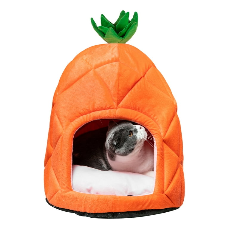 Pineapple bed cheap dog
