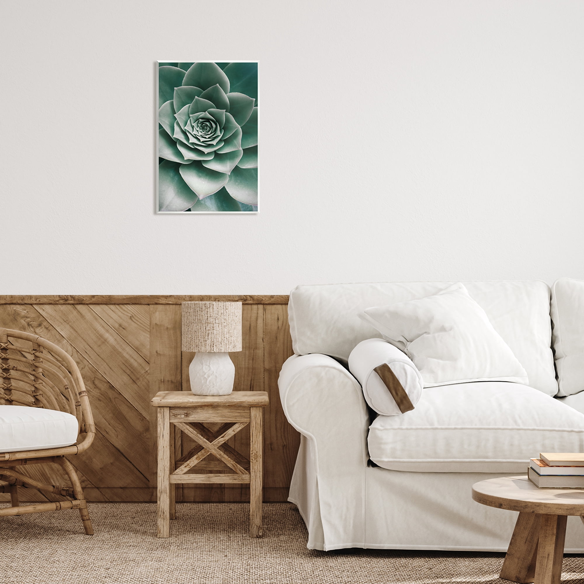 Stupell Industries Green Succulent Photography Botanical & Floral Photography Unframed Art Print Wall Art, 13 x 19