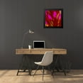 thumbnail image 4 of Tenoever, William 20x20 Black Modern Framed Museum Art Print Titled - Owl Clover in Bloom 4, 4 of 5