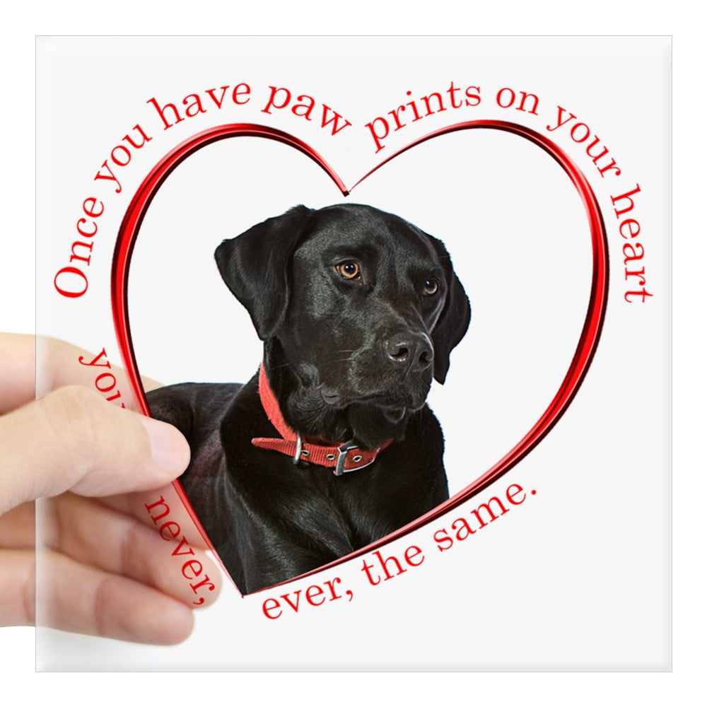 CafePress Lab Paw Prints Square Sticker 3 X 3 Square Sticker 1181823315