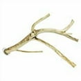 thumbnail image 2 of Exotic Nutrition Multi-Branch Perch (Medium) - Durable Branch Cage Accessory - Sugar Gliders, Rats, Parrots, Conures, Birds, 2 of 2