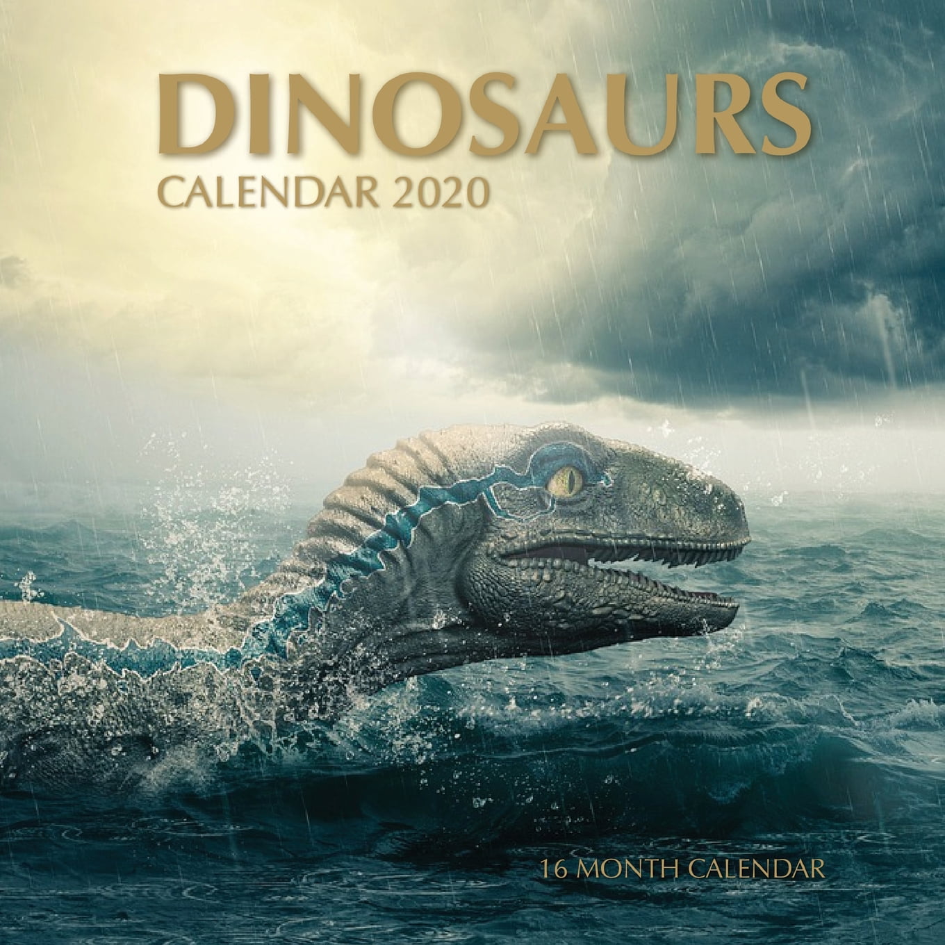 Dinosaurs Calendar 2020 16 Month Calendar (Paperback)