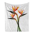 thumbnail image 1 of Flower Soft Flannel Fleece Blanket, Vivid Ombre Colored Botanic Tropical Garden Plant with Abstract Dots Artwork, Cozy Plush for Indoor and Outdoor Use, 60" x 80", Green and Orange, by Ambesonne, 1 of 6