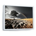 thumbnail image 2 of Designart "Rainbow Colorful Contrast Grey Tree horizon I" Rainbow Floater Framed Wall Decor, 2 of 7