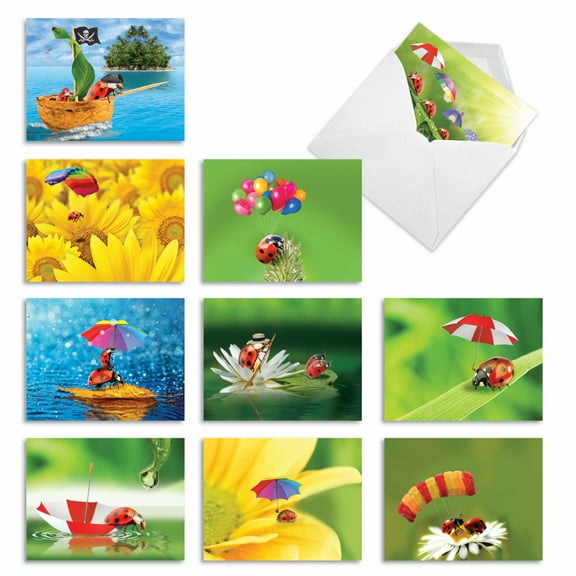 10 Assorted All Occasion Blank Note Cards with Envelopes (4 x 5.12 Inch) - LADY B. M1546BN