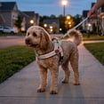 thumbnail image 5 of Dog Harness,No Pull Dog Harness, Adjustable Soft Harness with Breathable Mesh Padded, Reflective Lightweight Harness for Extra Small Medium Dogs, 5 of 6