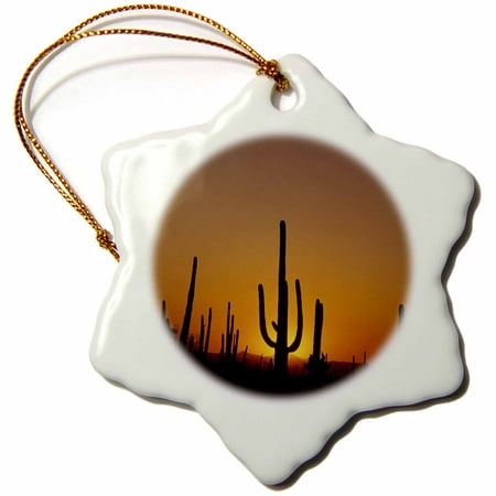 3dRose Giant saguaro cactus succulent, Arizona - US03 JME0109 - John and Lisa Merrill - Snowflake Ornament,