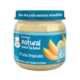 thumbnail image 1 of Papilla Gerber etapa 2 frutas tropicales 113 g, 1 of 5