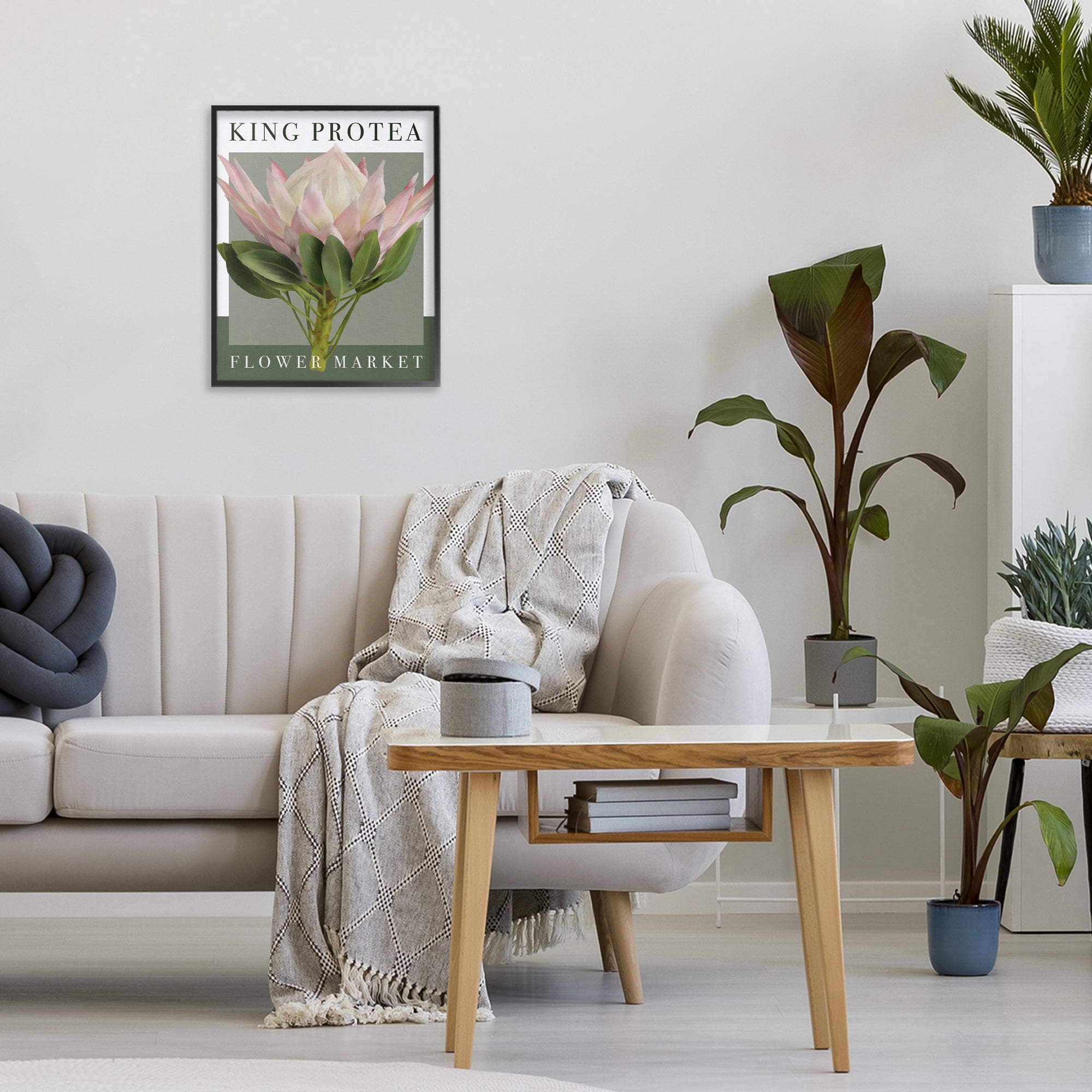 Stupell Industries King Protea Flower Market Black Framed Giclee Art, design by Jennifer Stith