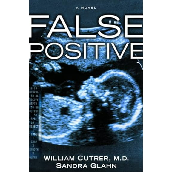 Pre-Owned False Positive Paperback