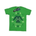 thumbnail image 1 of Harry Potter Boys Christmas Knit T-Shirt, 1 of 3