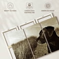 thumbnail image 6 of Elephant Stock Black Lab At The Beach Wall Art - Horizontal Multi Panel Canvas - Living Room Wall Decor - Animal Multi Panel - Black And Brown Decor By Jim Dratfield - 65" x 42", 6 of 8