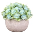 thumbnail image 1 of Pequeñas plantas verdes artificiales para la decoración de la casa., 1 of 5