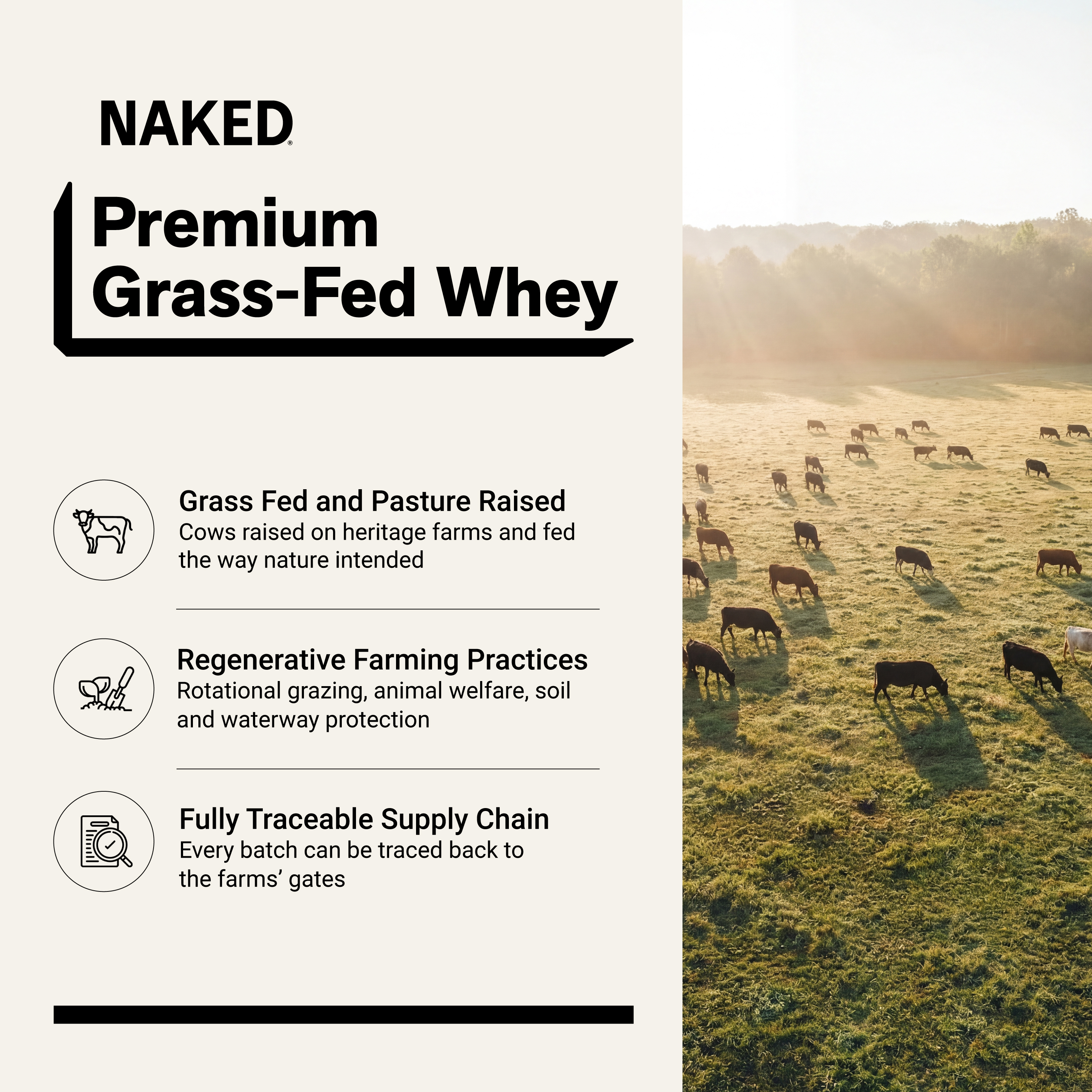 Naked Nutrition Grass Fed Whey Protein Powder, Vanilla, 1 lb photo 2