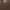 Dark Brown, variant on U.S. Polo Assn. Heritage Tote Bag, Black