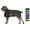 Black with Black, variant on Derby Originals Ruff-Pup Winter Dog Coat 600D Medium Weight
