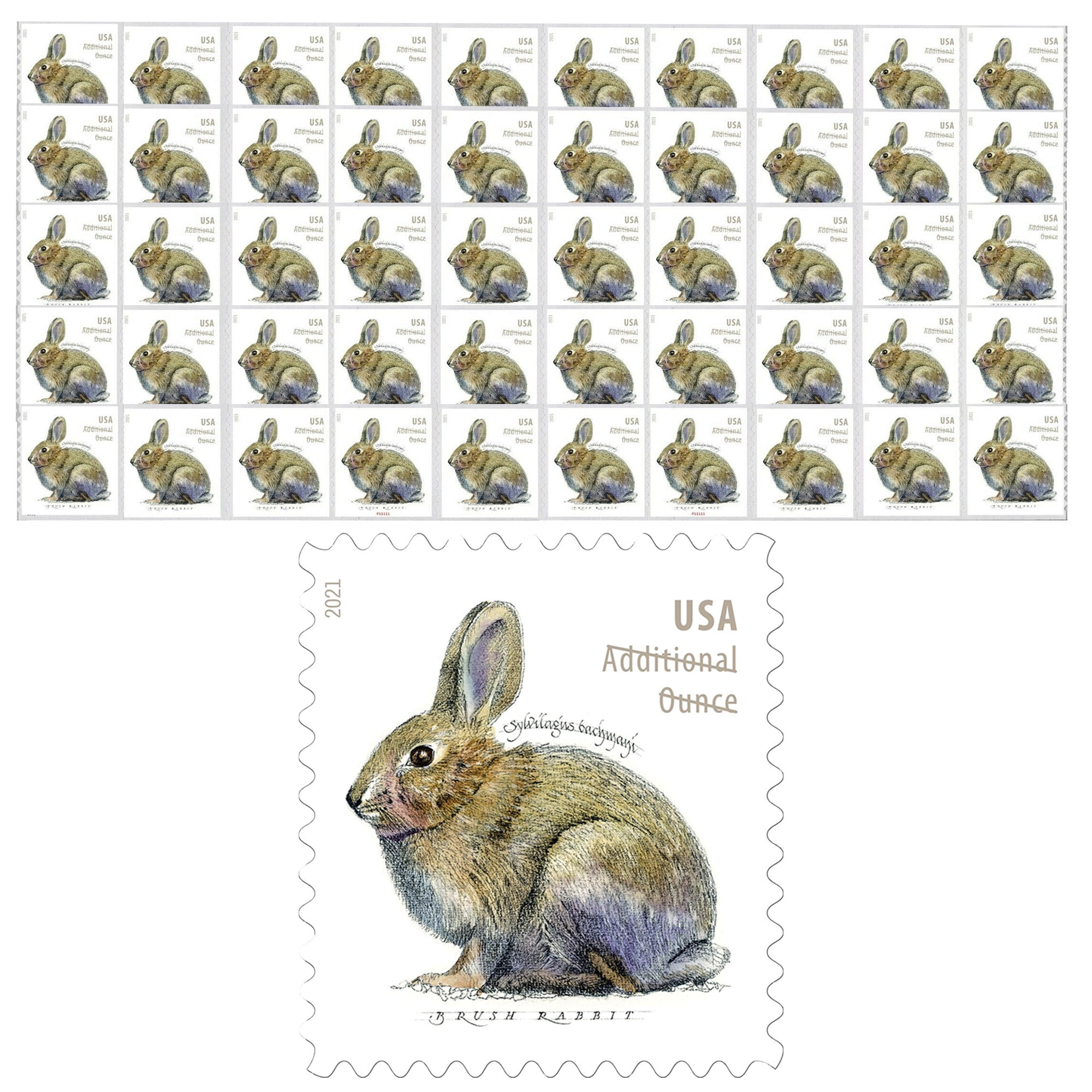 Brush Rabbit Stamps 20c Self-adhesive Stamps  Pristine as Issued by the Post Office Valid for Postage 10 10 Pack Ten