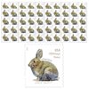 Brush Rabbit ADDITIONAL OUNCE USPS Forever Postage Strip of 50 US Postal First Class Wedding Celebration Anniversary Party (50 Stamps)