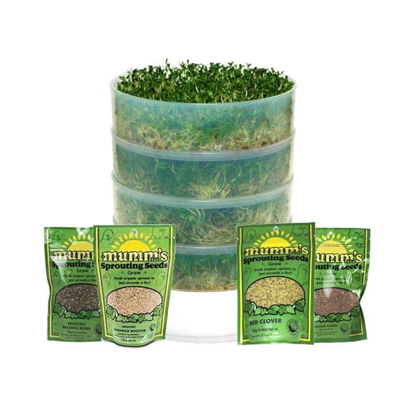 4 plateaux de germination de semences Victorio avec sachet de démarrage